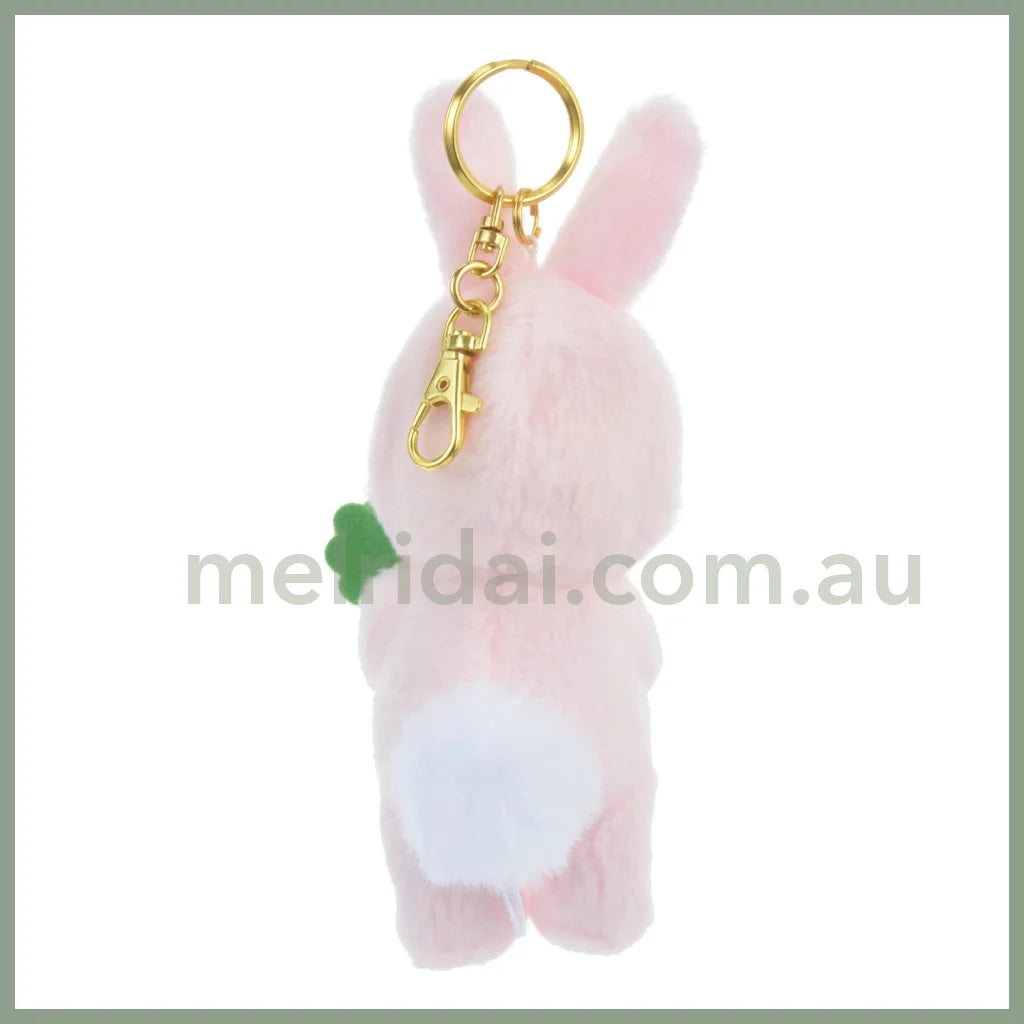 Disneyrabbit Eto Pooh 2023 Plush Keychain