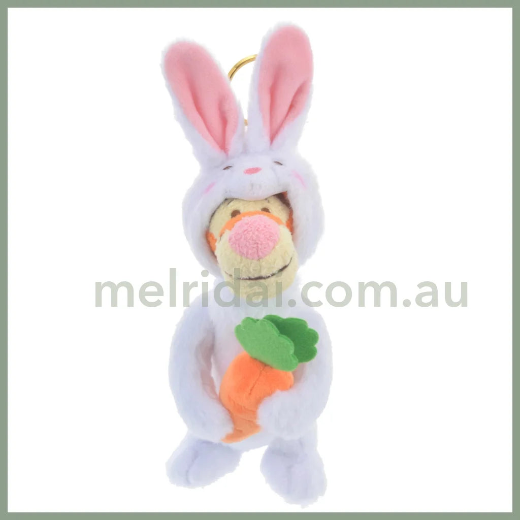 Disneyrabbit Eto Pooh 2023 Plush Keychain Tigger