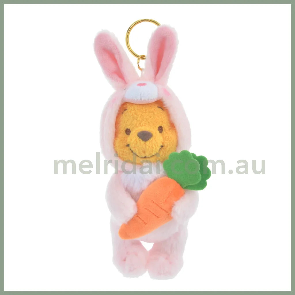 Disneyrabbit Eto Pooh 2023 Plush Keychain Winnie The