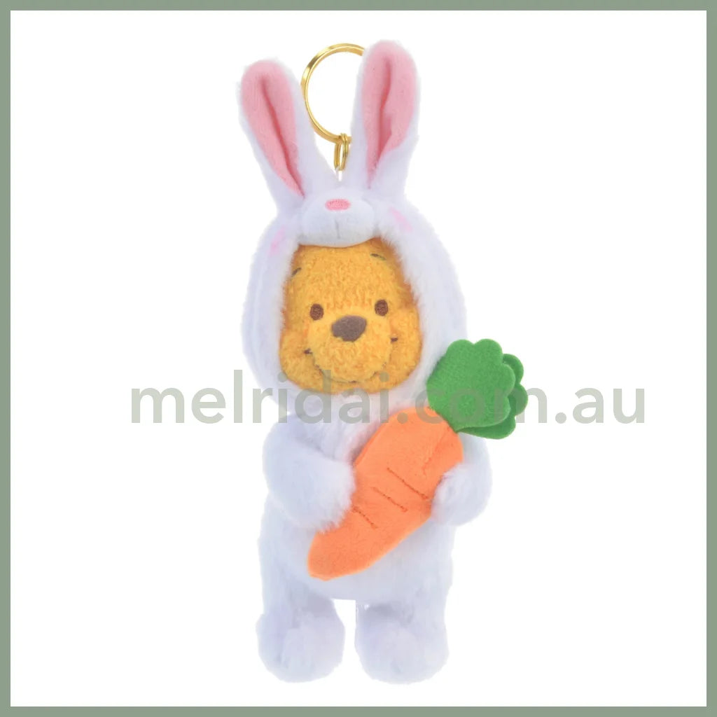 Disneyrabbit Eto Pooh 2023 Plush Keychain Winnie The