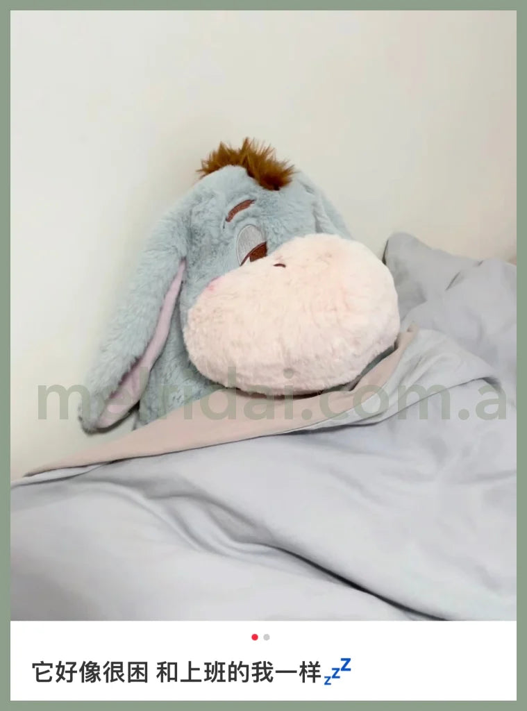 Disney | Sleepy Eeyore Plush Doll Winnie The Pooh 34X22X26Cm 东京迪士尼 睡不醒屹耳/驴驴 毛绒玩偶/公仔