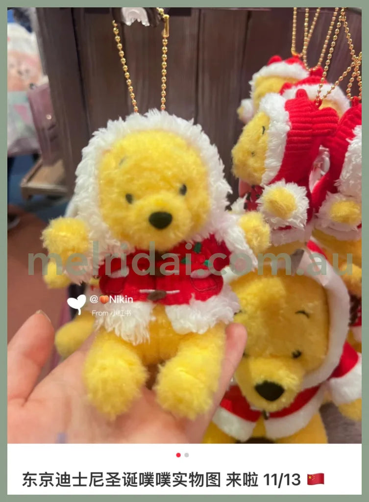 Disney | Tokyo Disneyland Winnie The Pooh Mascot Holder Keychain / //