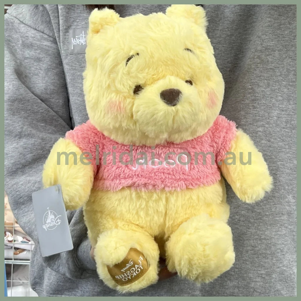 Disney | Winnie The Pooh Plush / ///