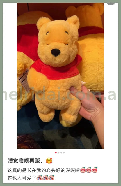 Disneywinnie The Pooh Fluffy Plush