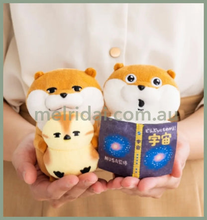 Kawaiiusono Kawauso | Cute Lie Otter Plush Doll H120 X W80 D105Mm 小玩笑小水獭 探索宇宙 小玩偶/公仔/桌面装饰