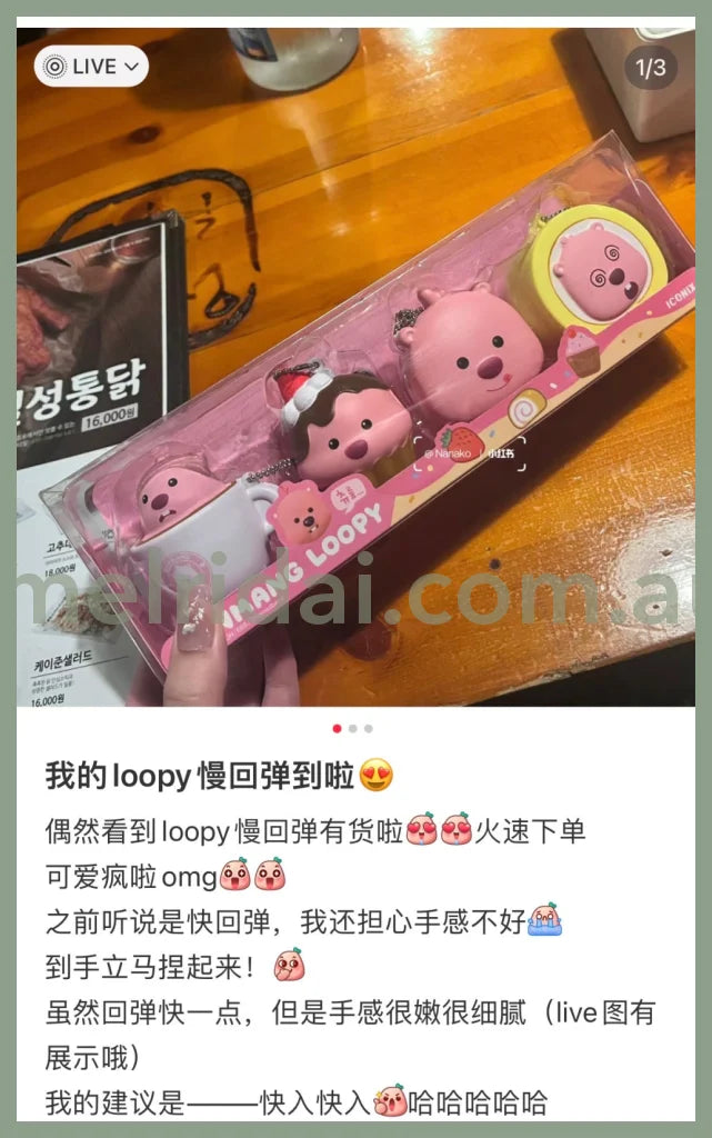 Loopy | Squishy Set (4 Pcs) 捏捏/慢回弹 挂件