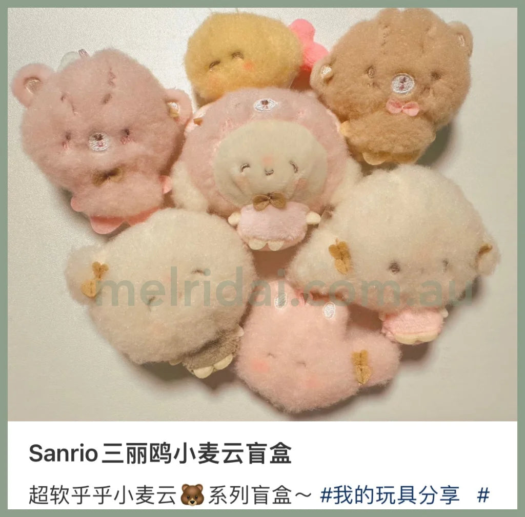 Sanrio | Handmade Bear Secret Mascot Cogimyun Blind Box /