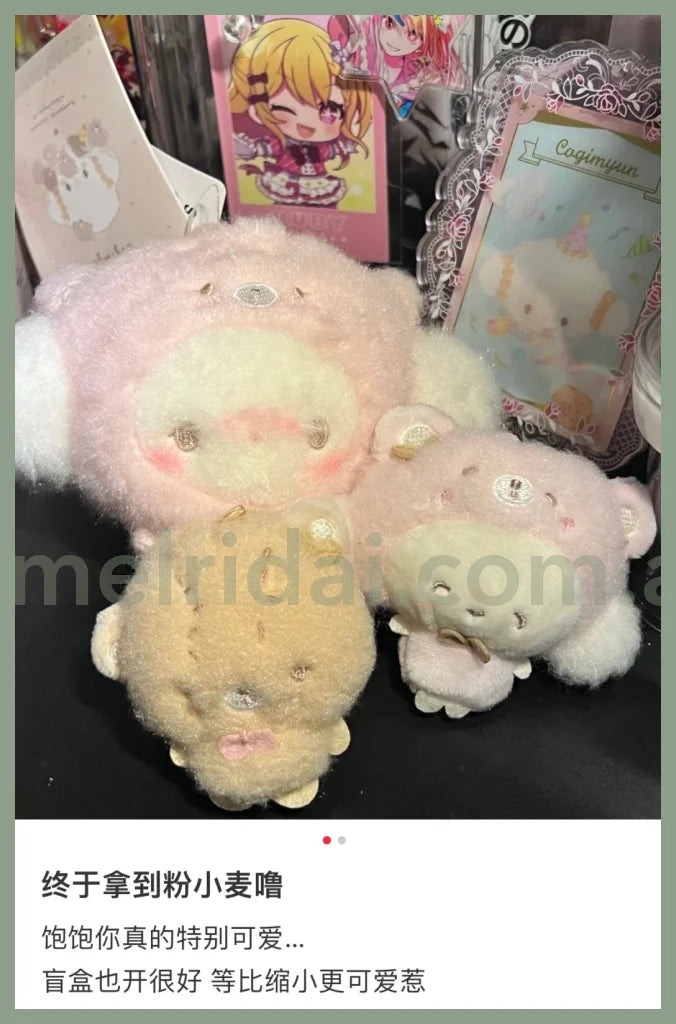 Sanrio | Handmade Bear Secret Mascot Cogimyun Blind Box /