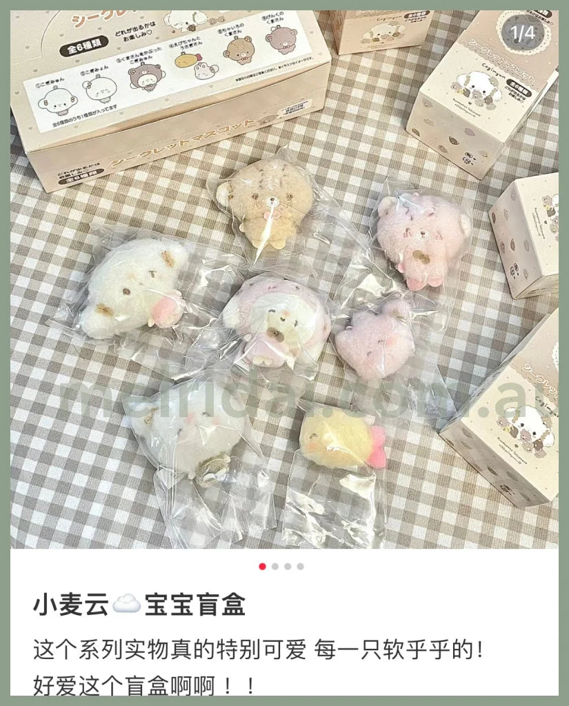 Sanrio | Handmade Bear Secret Mascot Cogimyun Blind Box /