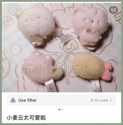 Sanrio | Handmade Bear Secret Mascot Cogimyun Blind Box /