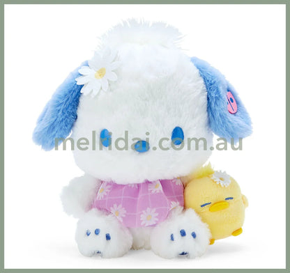 Sanrioplush Daisy 25-30Cm Pochacco