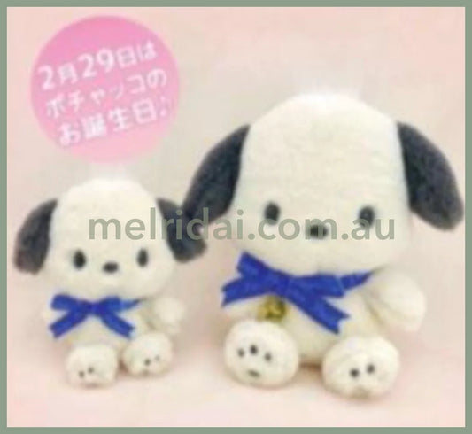 Sanriopochacco Birthday Plush /