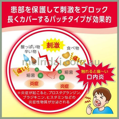 Taisho | Seikaku Kounaien Canker Sore Patch 10Pcs 大正制药 口腔溃疡贴